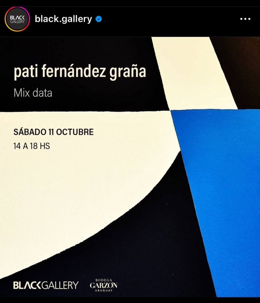 Mix Data. Pati Fernandez Graña.